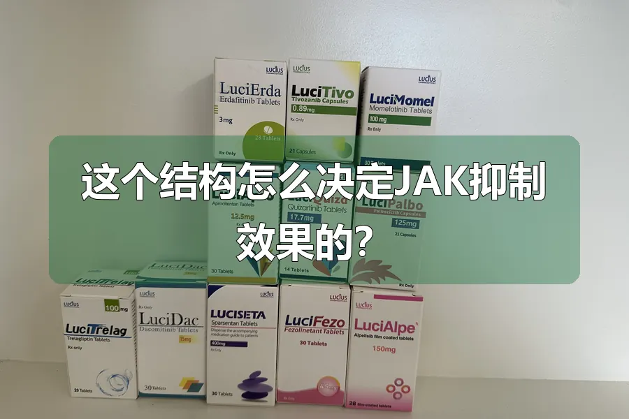 这个结构怎么决定JAK抑制效果的？